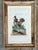 Coffee Rare 1749- 1776 Hand Colored Etching Pennsylvania Grouse by Michael Seligmann Ruffled Grouse For Sale - Image 8 of 8
