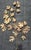 1970s Mid-Century Modern Curtis Jere Style Copper Maple Leaf Wall Sculpture For Sale - Image 4 of 15