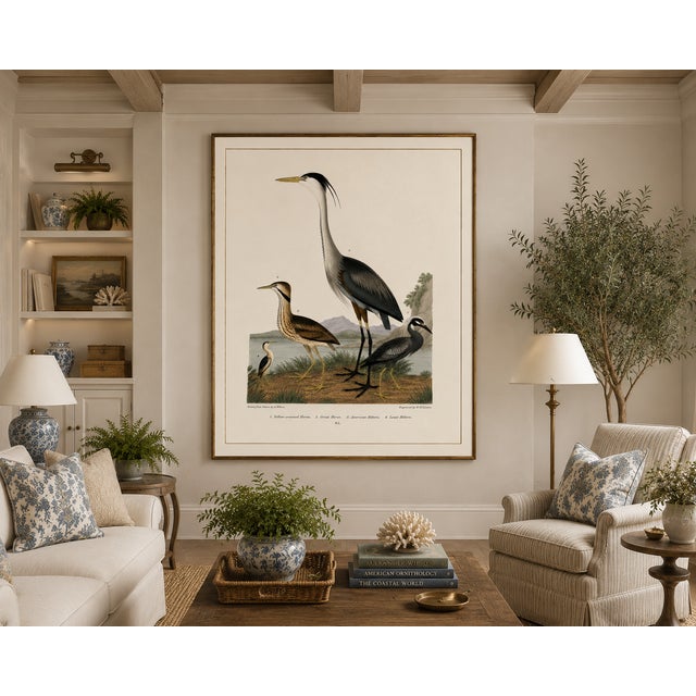 Black Great Heron & Marsh Birds, Vintage Natural History Art Print Reproduction, 40" X 60" For Sale - Image 8 of 11