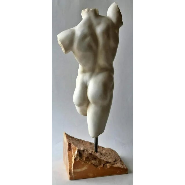 Early 20th Century Italian Torso Carrara Marble For Sale - Image 4 of 7