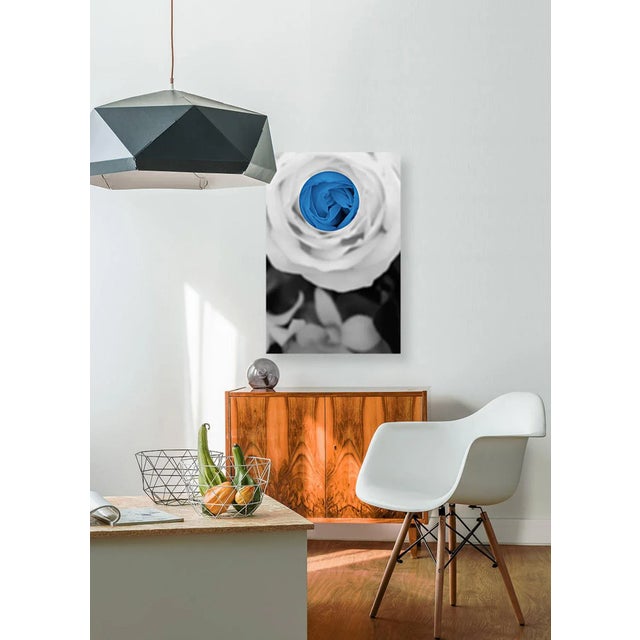 Leo Lam "Looking Glass 6" 24" X 36" Canvas Print For Sale In Seattle - Image 6 of 6