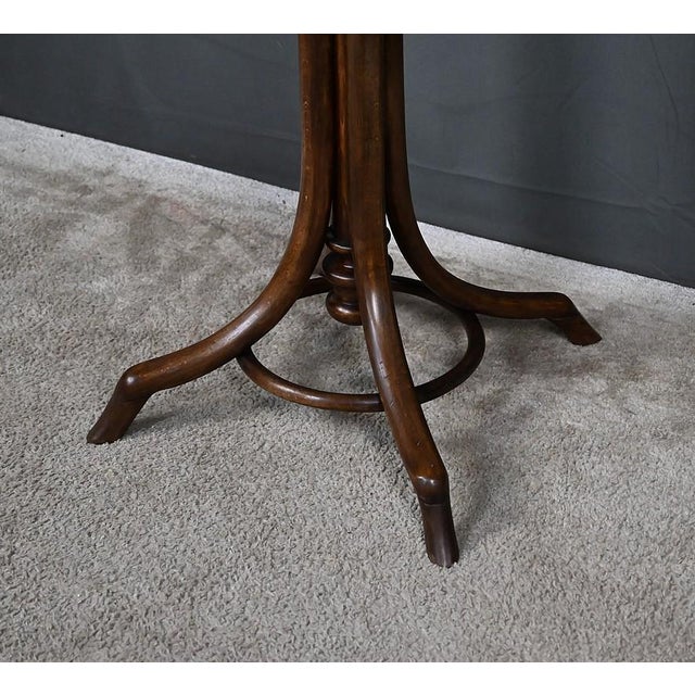 Early 20th Century Parrot Coat Rack in Beechwood, 1890s For Sale - Image 11 of 18