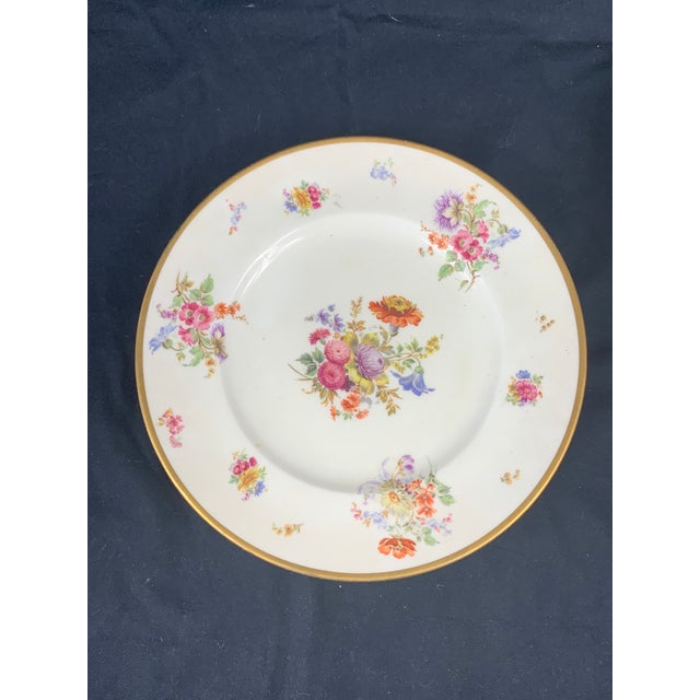 Antique Brown Westheads Cauldon China Floral Plates- Set of 11 For Sale - Image 9 of 13