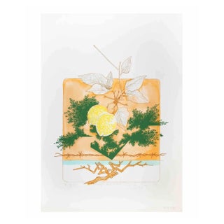 Leo Guida, Still Life, Screen Print, 1976 For Sale