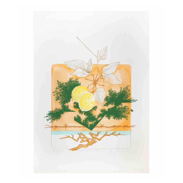 Leo Guida, Still Life, Screen Print, 1976 For Sale