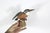 Vintage Large Beswick Kingfisher Model 2371 For Sale - Image 10 of 13