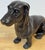 Late 20th Century French School Patinated Bronze of a Resting Dachshund For Sale - Image 5 of 8