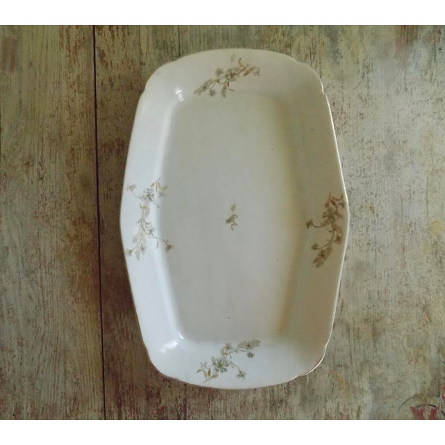 Late 19th Century Antique Dale & Davis Ironstone Blue Thistle Flower