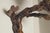1960s Vintage Organic Brutalist Vine Root Wall Lamp with Opaline Globe, 1960s For Sale - Image 5 of 18