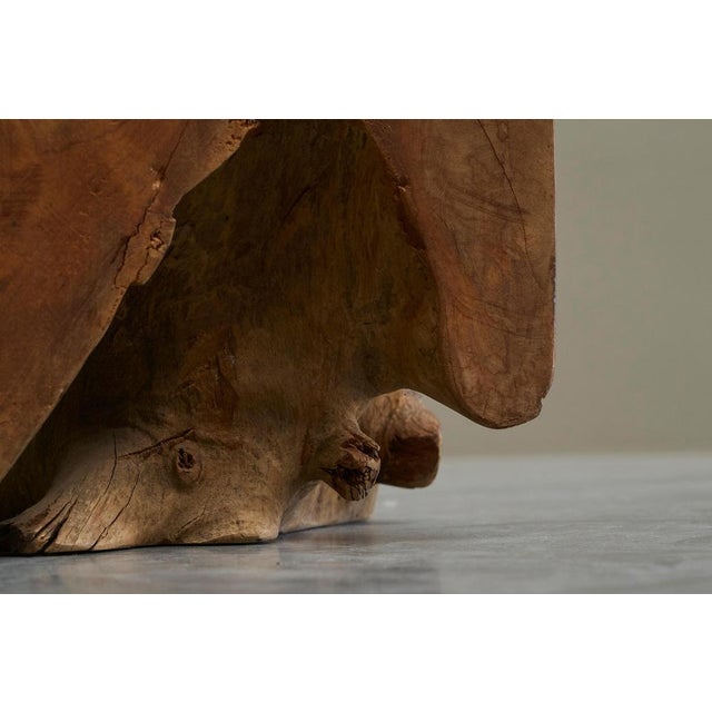 Sculptural Root Stool in Elm, 1970s For Sale - Image 10 of 12