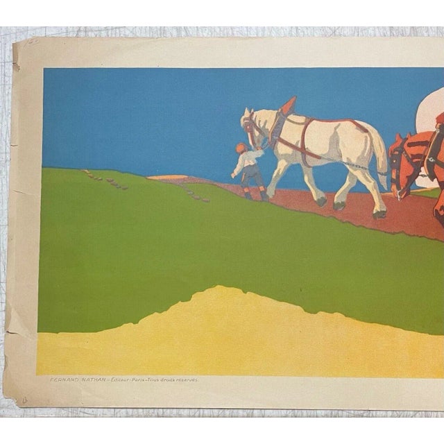 Original Antique Roger Chapelet Horses & Cows Farming Fernand Nathan Lithographs For Sale - Image 4 of 12
