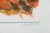 Modern Gerard Diaz, African Acacia, Lithograph For Sale - Image 3 of 8