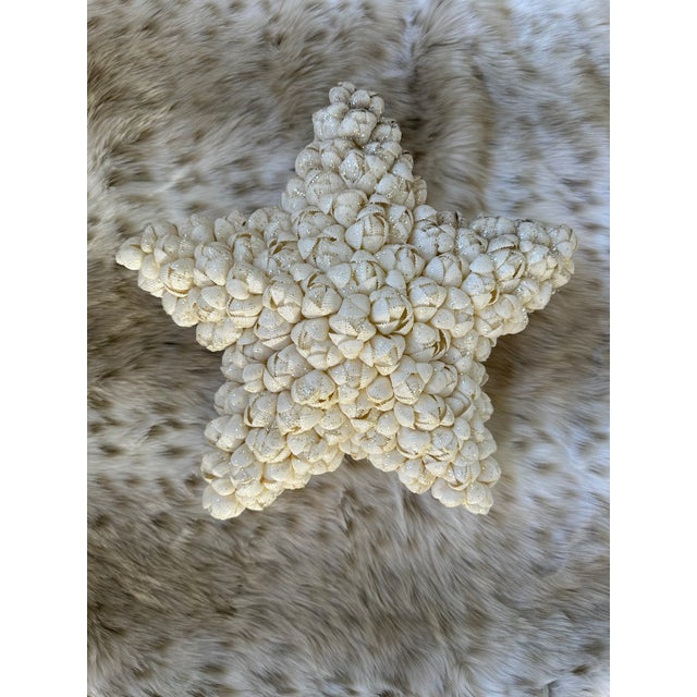 Vintage 14.5” Very Large Seashell Encrusted Holiday Star , 1980’s For Sale - Image 10 of 11