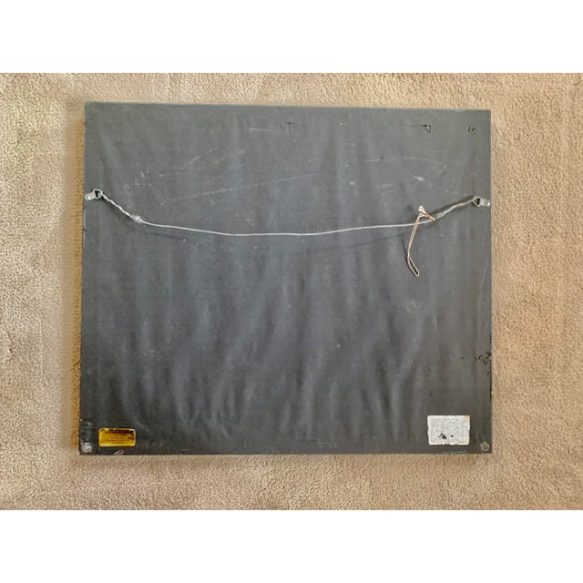 Metal Rare Lion Vintage Framed Wildlife Lithograph Print -#1/8, From a 4-Part Series For Sale - Image 7 of 9