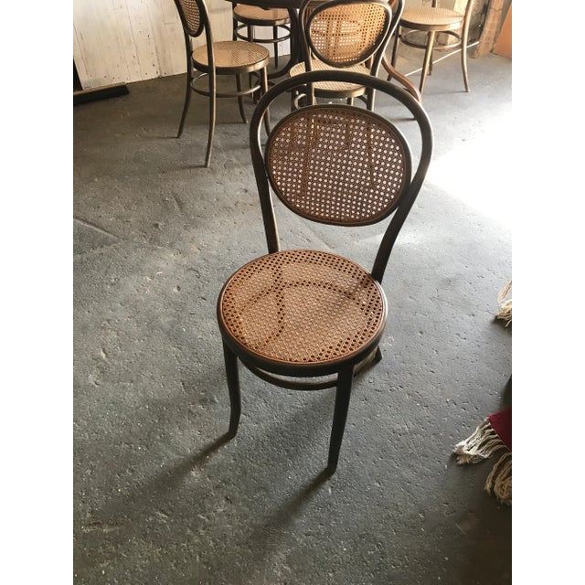 Oval Dining Chairs & Table in Wood Cane, Germany, 1960s, Set of 7 For Sale - Image 4 of 13