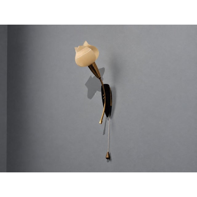 Mid-Century Modern Scandinavian Modern, Tulip Wall Sconce, Brass, Plastic, Sweden, 1950s For Sale - Image 3 of 12