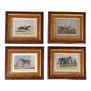 1960s Set of 4 Antique Equestrian Hand Colored Engravings in Custom Frames For Sale