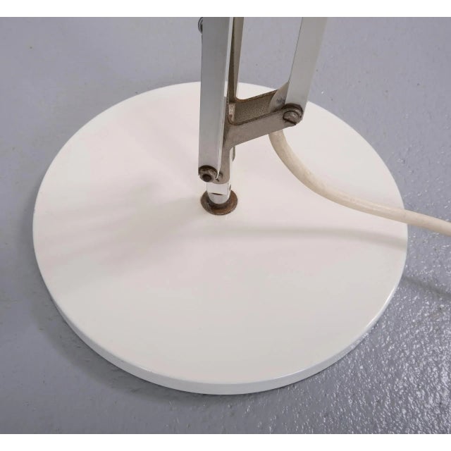 1950s Terry 2 Desk Lamp by H. Th. J. A. Busquet for Hala Zeist, 1950s For Sale - Image 5 of 11