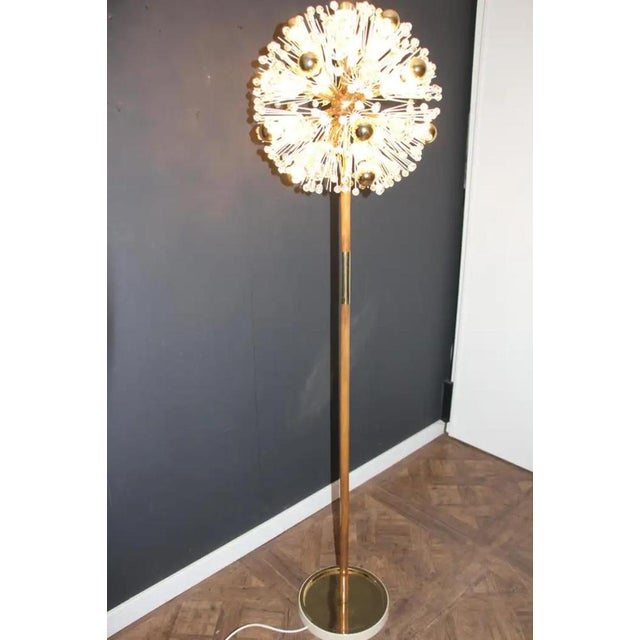 Mid-Century Modern Vintage Dandelion Floor Lamp by Emil Stejnar for Nikoll, 1950 For Sale - Image 3 of 18