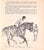 1940s Original 1944 Pencil Drawing From Hi, Guy! The Cinderella Horse by Paul Brown 37 For Sale - Image 5 of 6