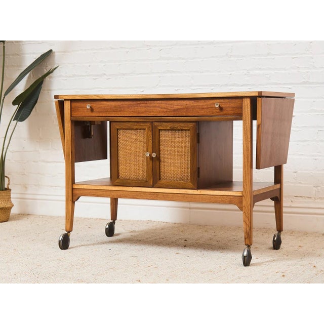 Whether you are storing drinks and barware or looking for the perfect place to showcase your collectibles, our vintage bar...