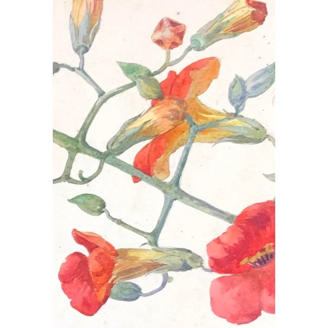 1900 - 1909 Juliette Calame, Flowering Branch, 1902, Watercolor on Paper For Sale - Image 5 of 7