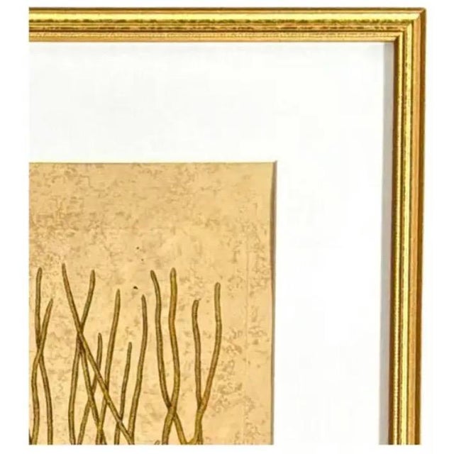 Nautical Mark Catesby Engraving, "Black Murrey" Moray Eel, Framed For Sale - Image 3 of 9