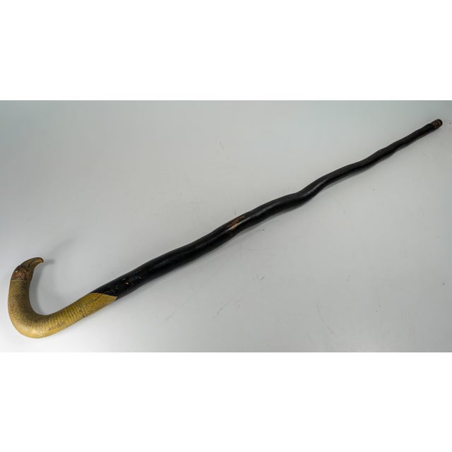 19th Century American Folk Art Carved Bird Eagle Head Cane or Walking Stick For Sale - Image 12 of 18