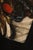 Franciscus Gysbrechts, Still Life Vanitas Gysbrechts, 17th Century, Oil Painting on Canvas, Framed For Sale - Image 10 of 15