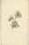 Set of 13 antique anatomy prints of ligaments and joints. These prints originate from 'Magazijn van ontleedkunde' by Dr....