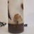 Table Lamps in Bent and Acid-Etched Glass by F.J., France, 1970s, Set of 2 For Sale - Image 14 of 18