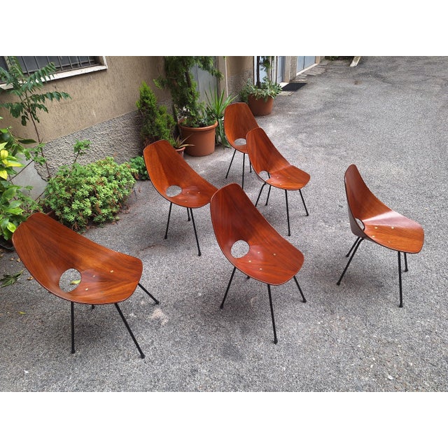 Chairs by Vittorio Nobili for Medea, 1950s, Set of 6 For Sale - Image 12 of 14
