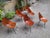 Chairs by Vittorio Nobili for Medea, 1950s, Set of 6 For Sale - Image 12 of 14