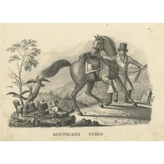 Swiss Horse, 1827, Paper For Sale