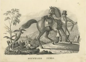 Swiss Horse, 1827, Paper