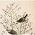 Farmhouse 1966 Vintage Cottage Print "Orange-Crowned Warbler" After John James Audubon For Sale - Image 3 of 7