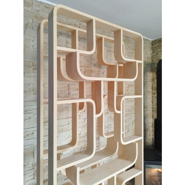 Mid-Century Room Dividers attributed to Ludvik Volak for Drevopodnik Holesov, Czech, 1960s, Set of 2 For Sale - Image 5 of 18