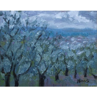Olive Grove, Expressionist Landscape Oil Painting For Sale