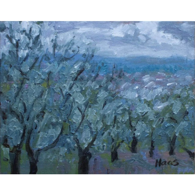 Olive Grove, Expressionist Landscape Oil Painting For Sale