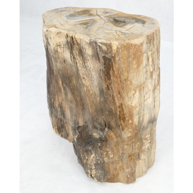 Early 21st Century Petrified Wood Organic Shape Multicolor Beige to Black Stand End Table Pedestal For Sale - Image 5 of 10