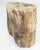 Early 21st Century Petrified Wood Organic Shape Multicolor Beige to Black Stand End Table Pedestal For Sale - Image 5 of 10