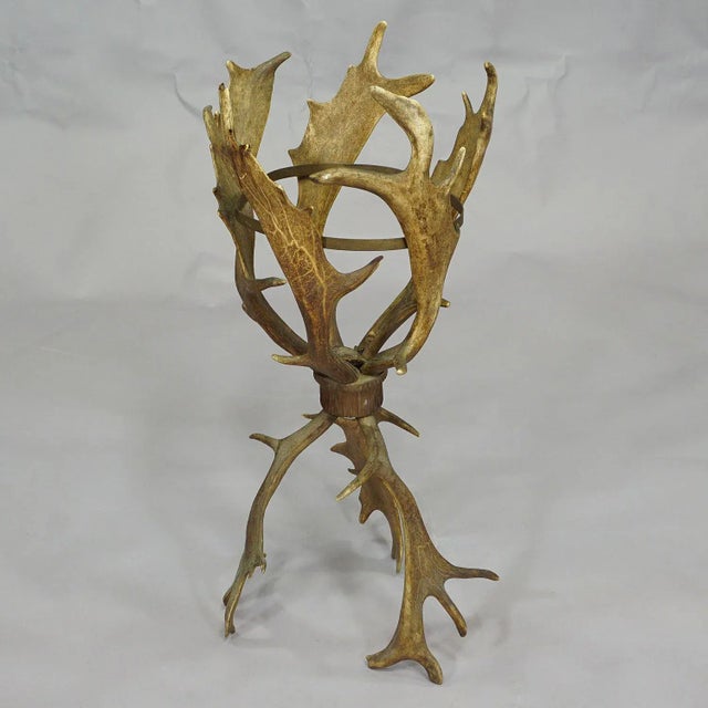 Antique Cabin Decor Antler Basket, Germany Ca. 1900 For Sale - Image 4 of 8