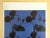This Andy Warhol Foundation rare vintage 1995 Pop Art offset lithograph print " Myths : Mickey Mouse " 1981, is a very...