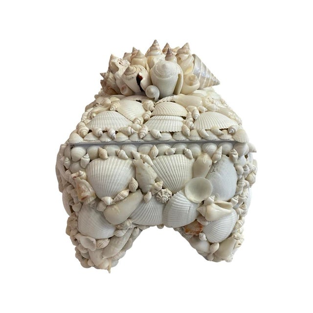 English White Footed Lidded Shell Box With Decorative Cluster on Top For Sale - Image 3 of 7