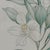 Margot Weemaes 1981 Citrus Botanical Portfolio Print For Sale - Image 9 of 12