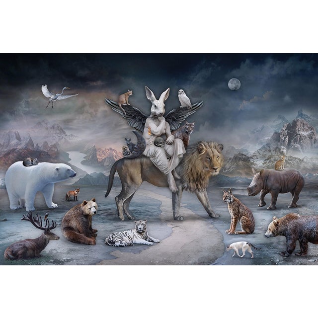 Queen of the Wild Hearts by Marcin Owczarek | Photography - Dye Sublimation on Aluminum depicting a rabbit with wings among various animals. For Sale