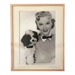 Vintage Hollywood Glamour Photograph Portrait of Connie Francis by Virgil Apger For Sale