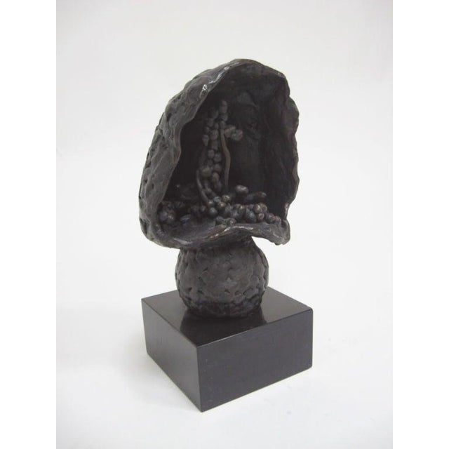 This compelling biomorphic abstraction by Roszi Tevan is a very provocative form. Dark and mysterious, the piece seems...