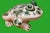 Large Mid 20 th Century Garden Ceramic Frog For Sale - Image 9 of 9