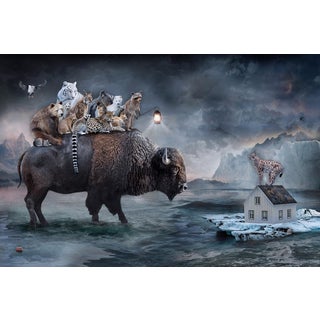 Shelter - Spirit of the Bison by Marcin Owczarek | Photography of bison with animals on its back For Sale